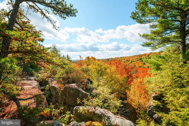 a view of yard with swimming pool and green space