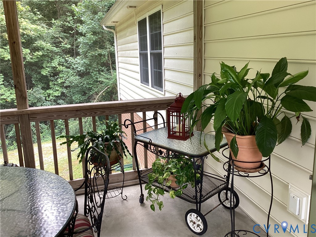 11611 Hillside Road Chester, VA 23831 - Photo 33 of 38 Great area for plant hobby on screened rear porch