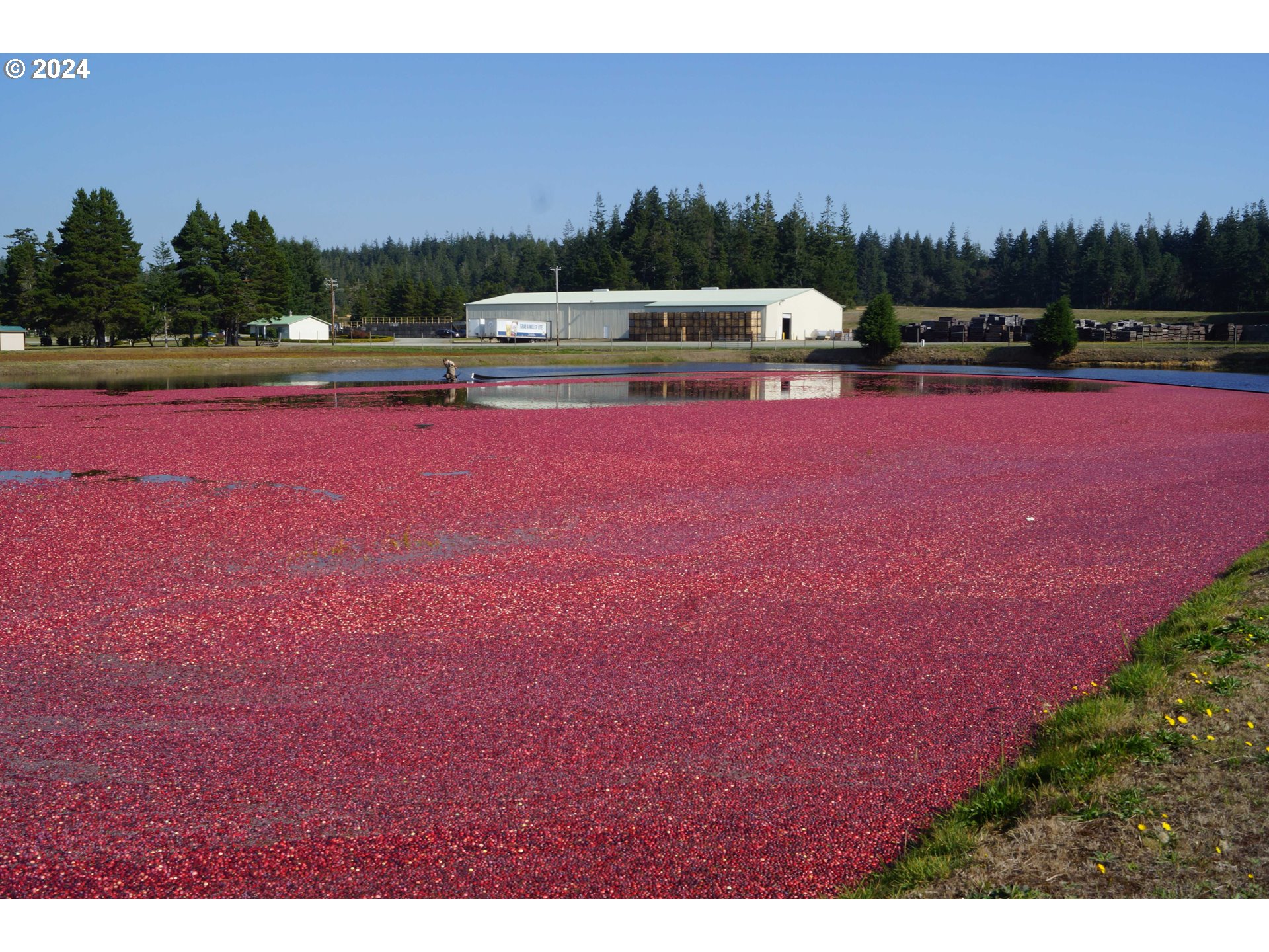 54980 Morrison Road Bandon, OR 97411 - Photo 40 of 48 a view of outdoor space and yard