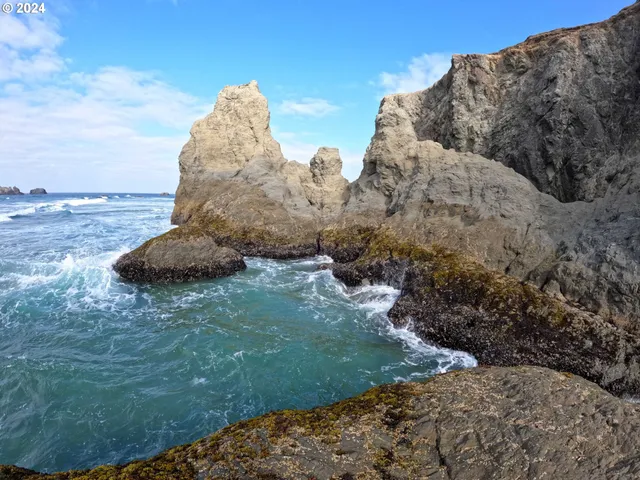 a view of a plant in a field