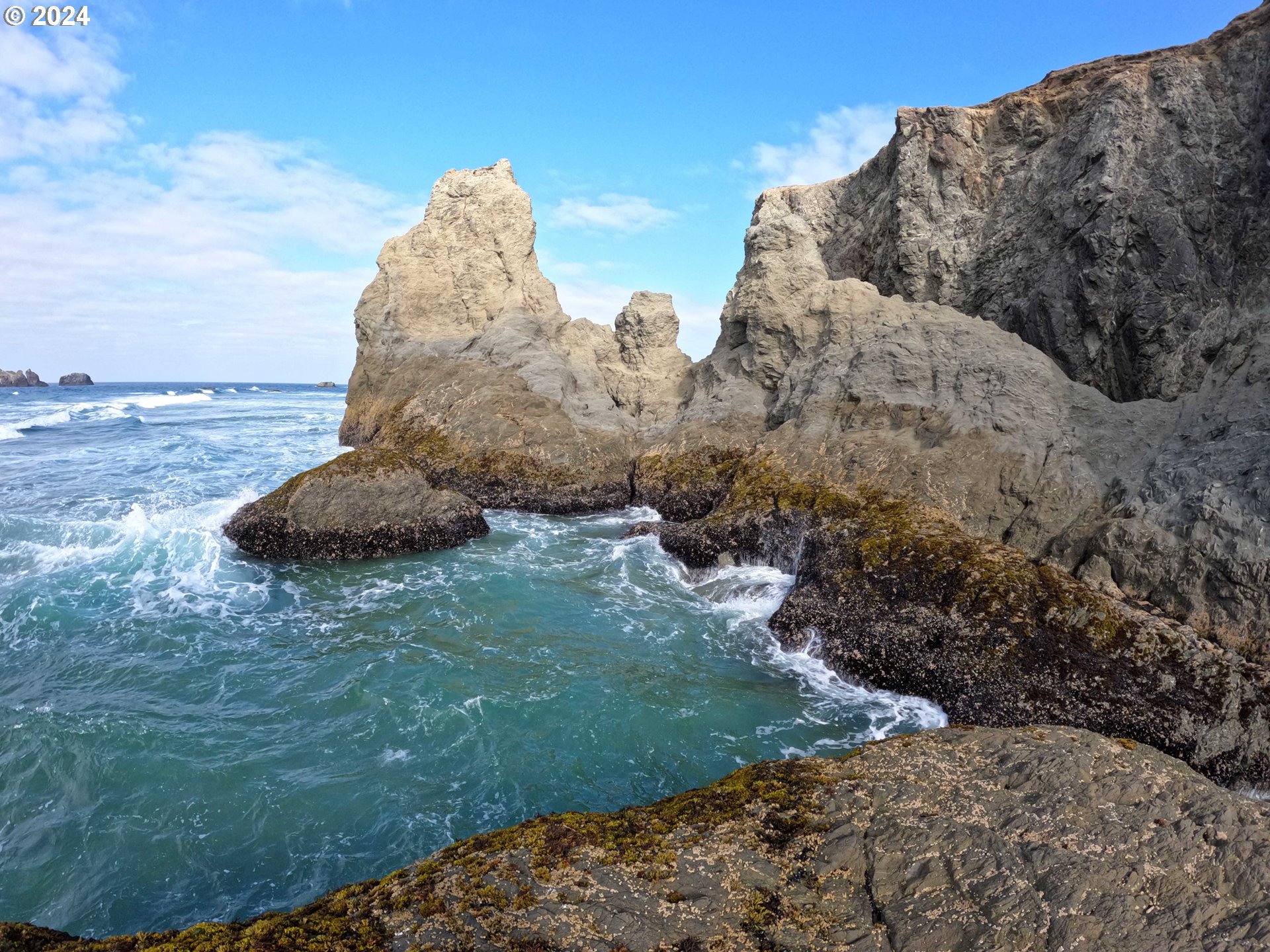 54980 Morrison Road Bandon, OR 97411 - Photo 44 of 48 a view of a yard