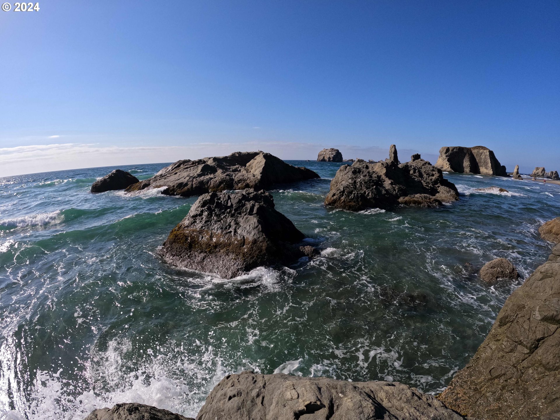 54980 Morrison Road Bandon, OR 97411 - Photo 45 of 48 a view of a plant in a field