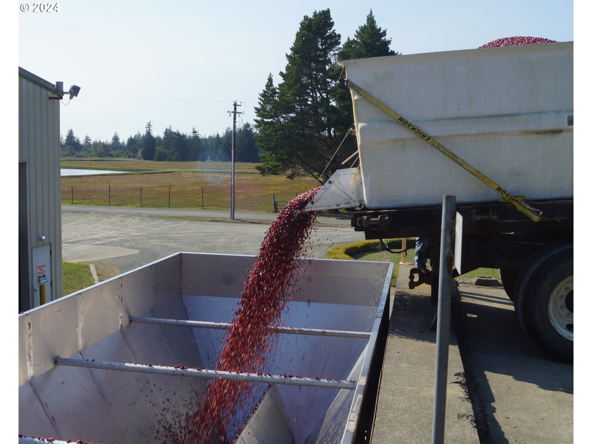 54980 Morrison Road Bandon, OR 97411 - Photo 48 of 48 a view of swimming pool with seating space and deck in the back