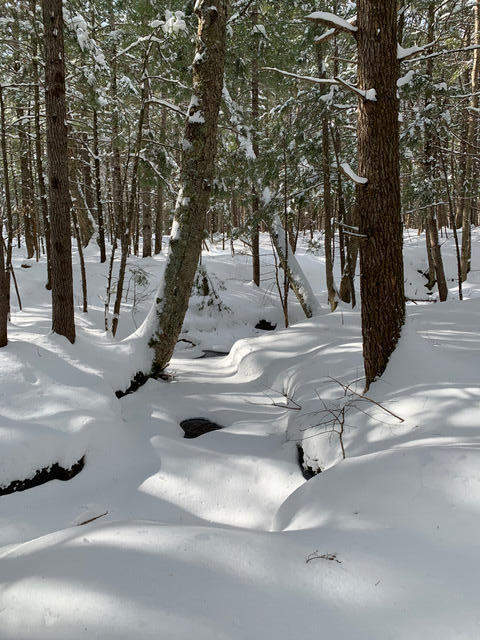 Lot 20 Sunnybrook Farm Road Bridgton, ME 04009 - Photo 2 of 5 Brook in the snow