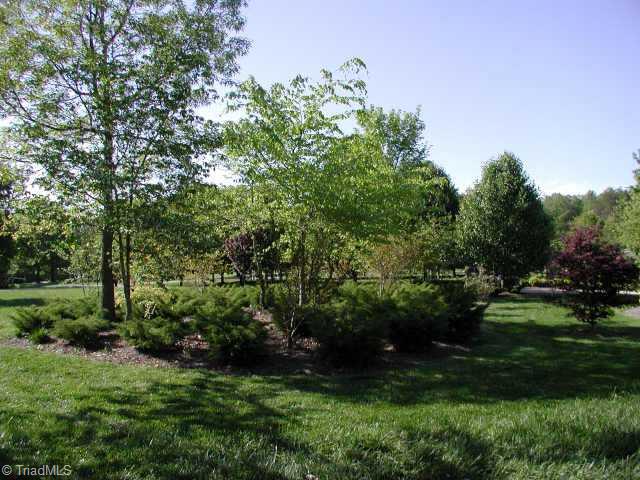 8540 Hudson James Road Summerfield, NC 27358 - Photo 9 of 9 Other.
