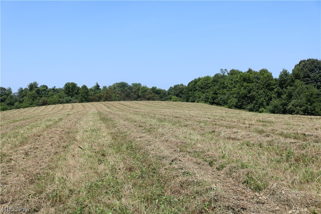 Arrowhead Road Lore City, OH 43755 - Photo 10 of 27 Gallery Image 10
