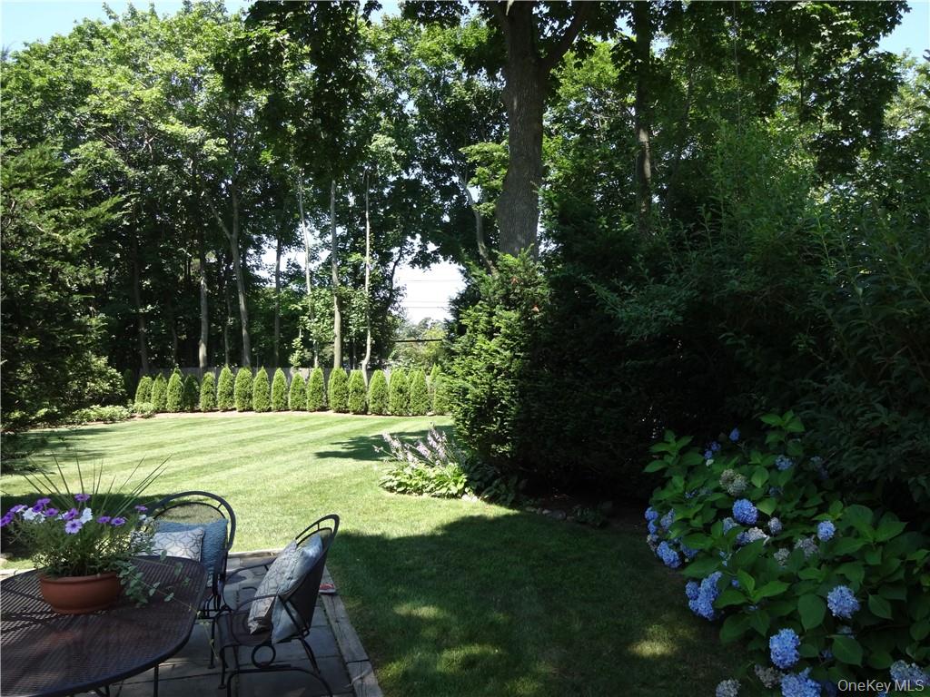 9 Franklin Avenue Rye, NY 10580 - Photo 33 of 35 a view of a dining table and chairs in a garden