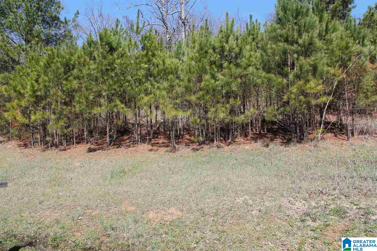 0 Teem Road, Unit 7 Cullman, AL 35057 - Photo 3 of 5
