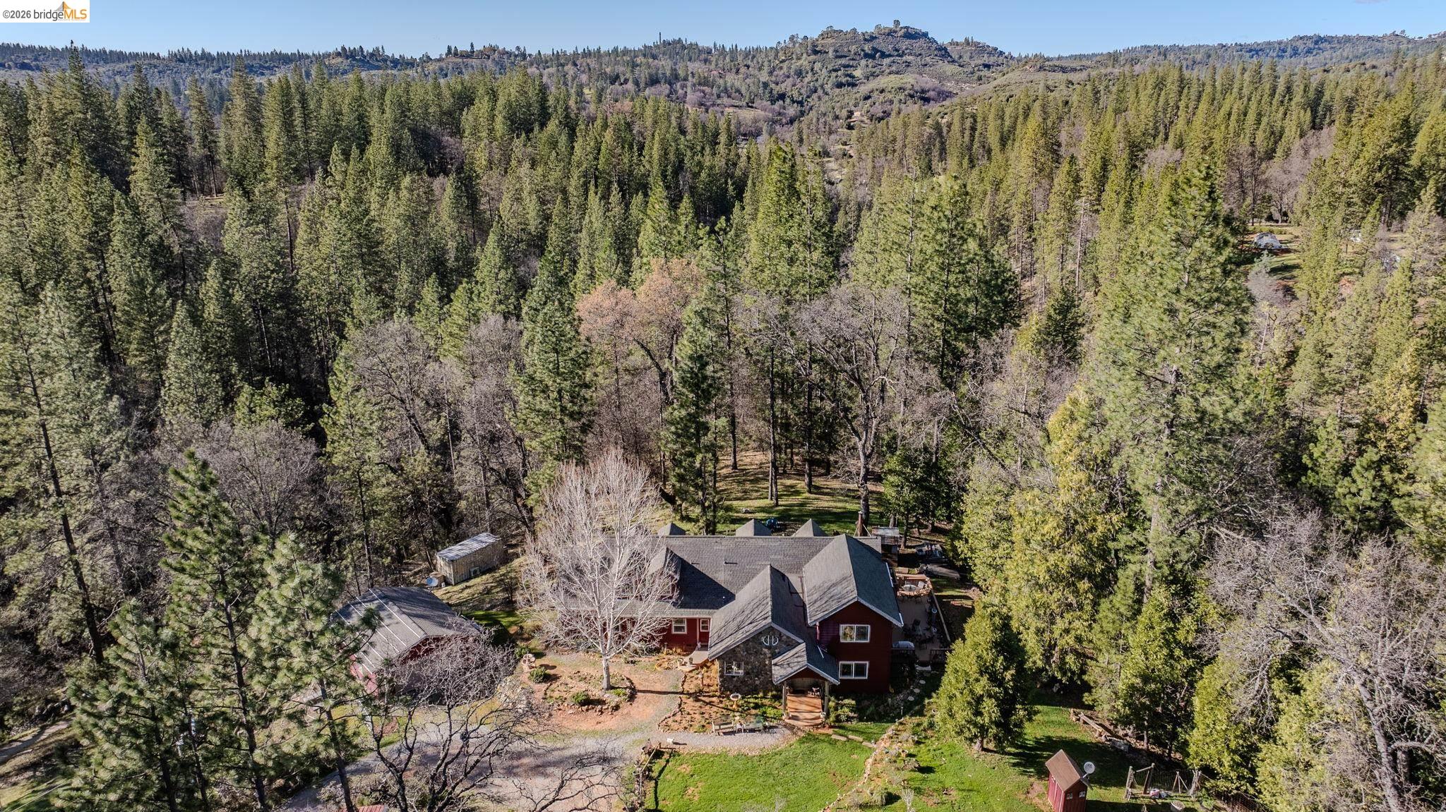 6145 Swiss Ranch Road Mountain Ranch, CA 95246 - Photo 55 of 60 a view of a forest with a tree