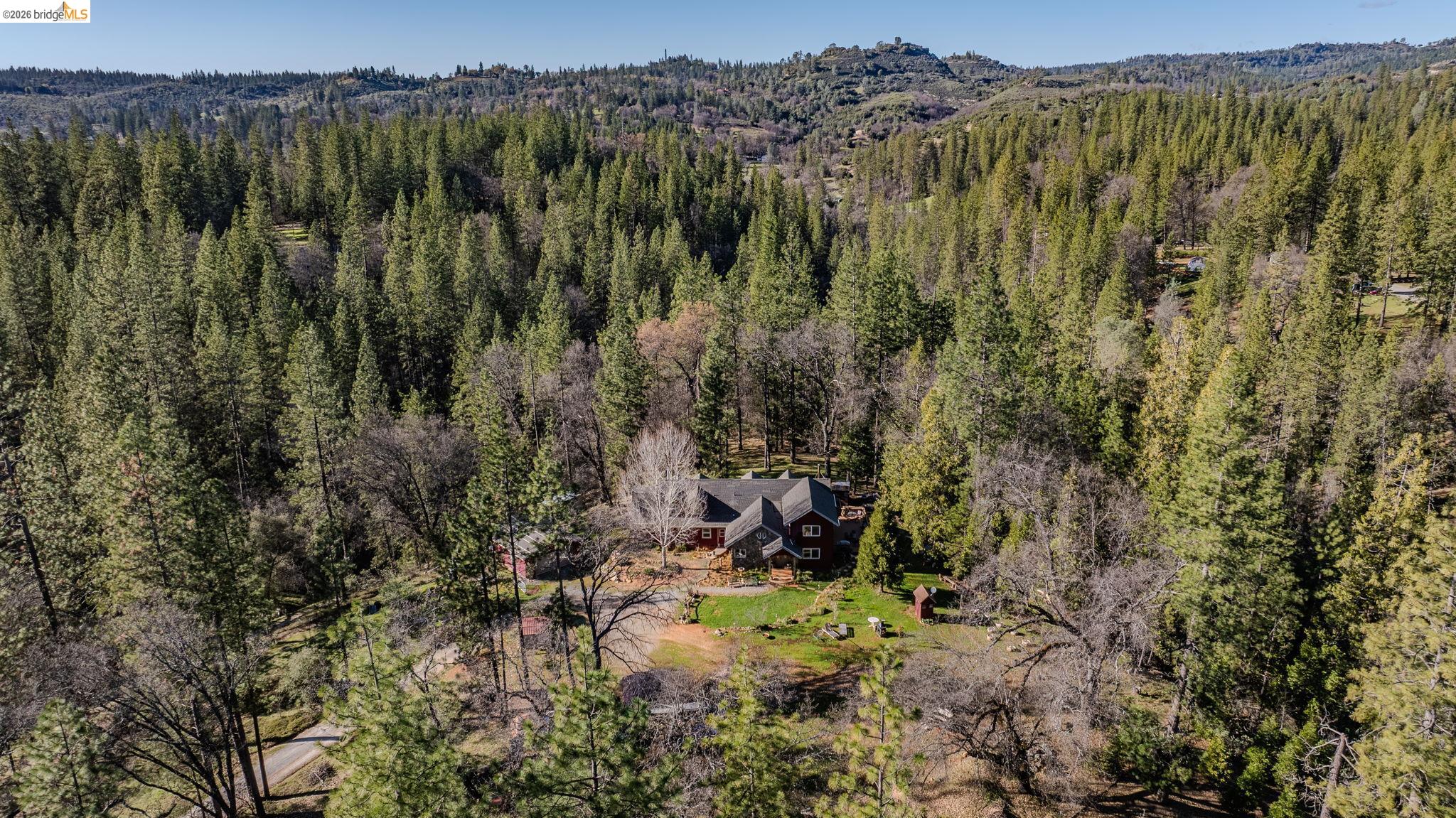 6145 Swiss Ranch Road Mountain Ranch, CA 95246 - Photo 56 of 60 a view of a forest with a tree