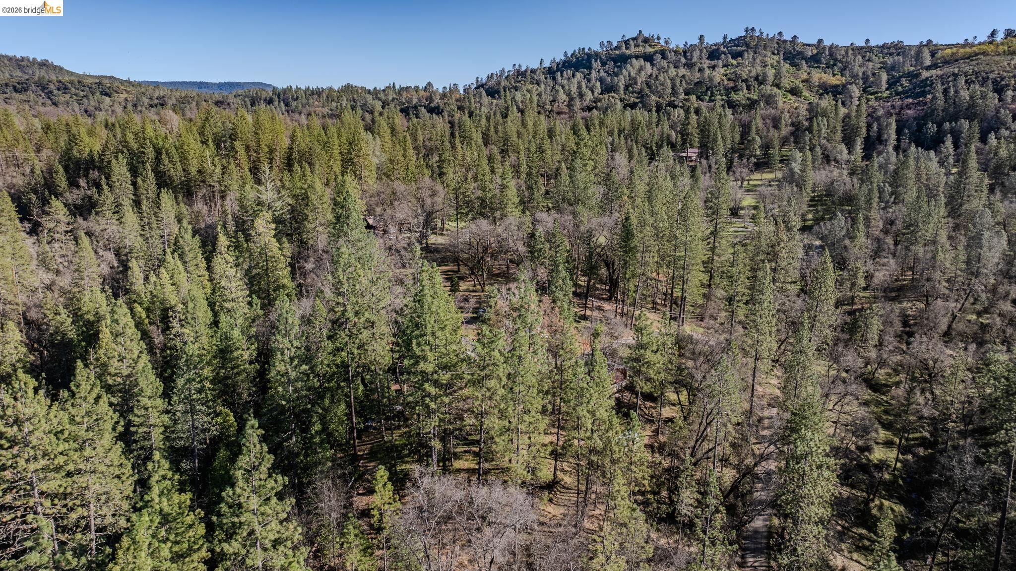 6145 Swiss Ranch Road Mountain Ranch, CA 95246 - Photo 57 of 60 Bird's eye view of a heavily wooded area