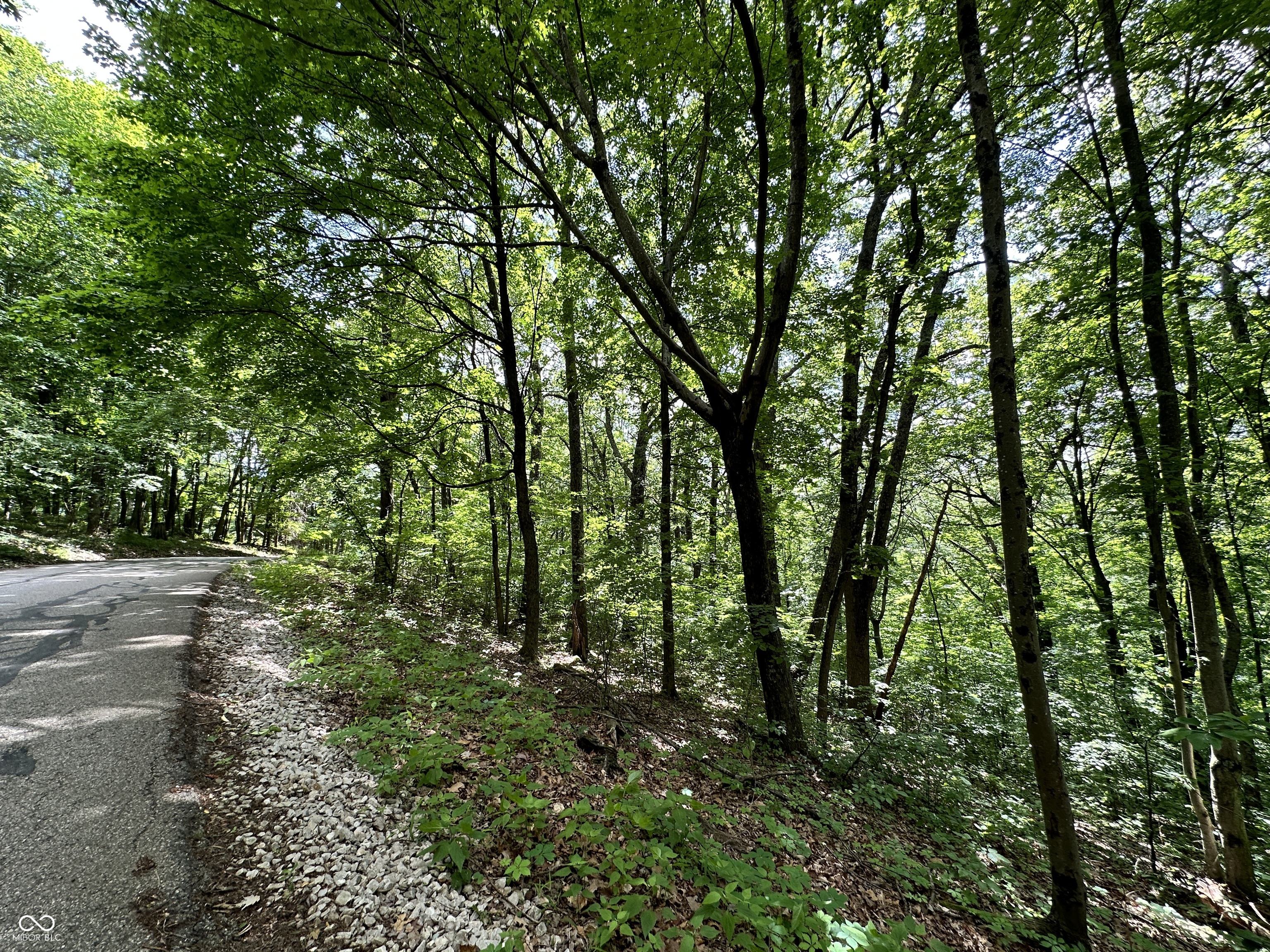 0 Dynasty Ridge Road Martinsville, IN 46151 - Photo 2 of 8