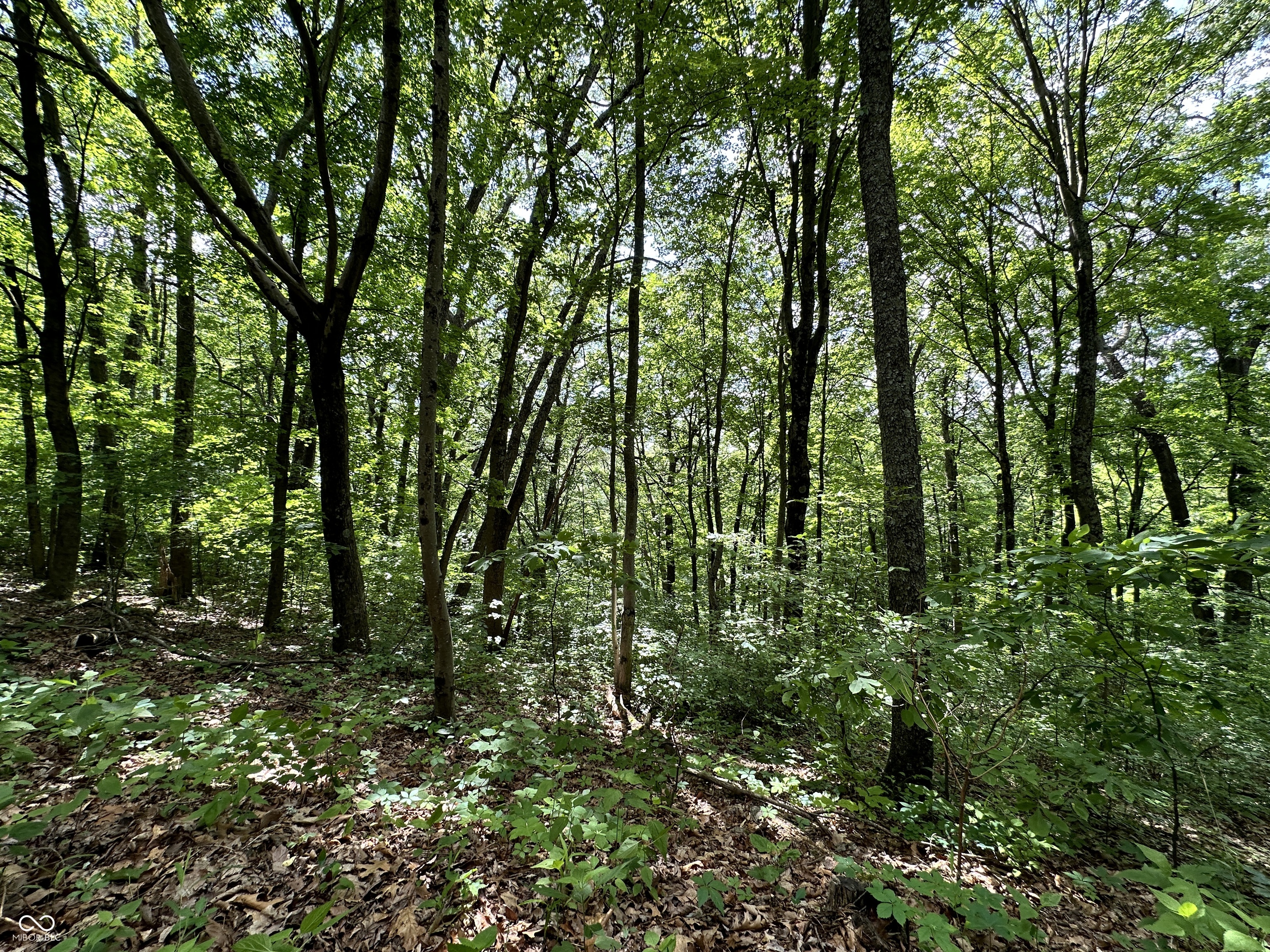 0 Dynasty Ridge Road Martinsville, IN 46151 - Photo 4 of 8