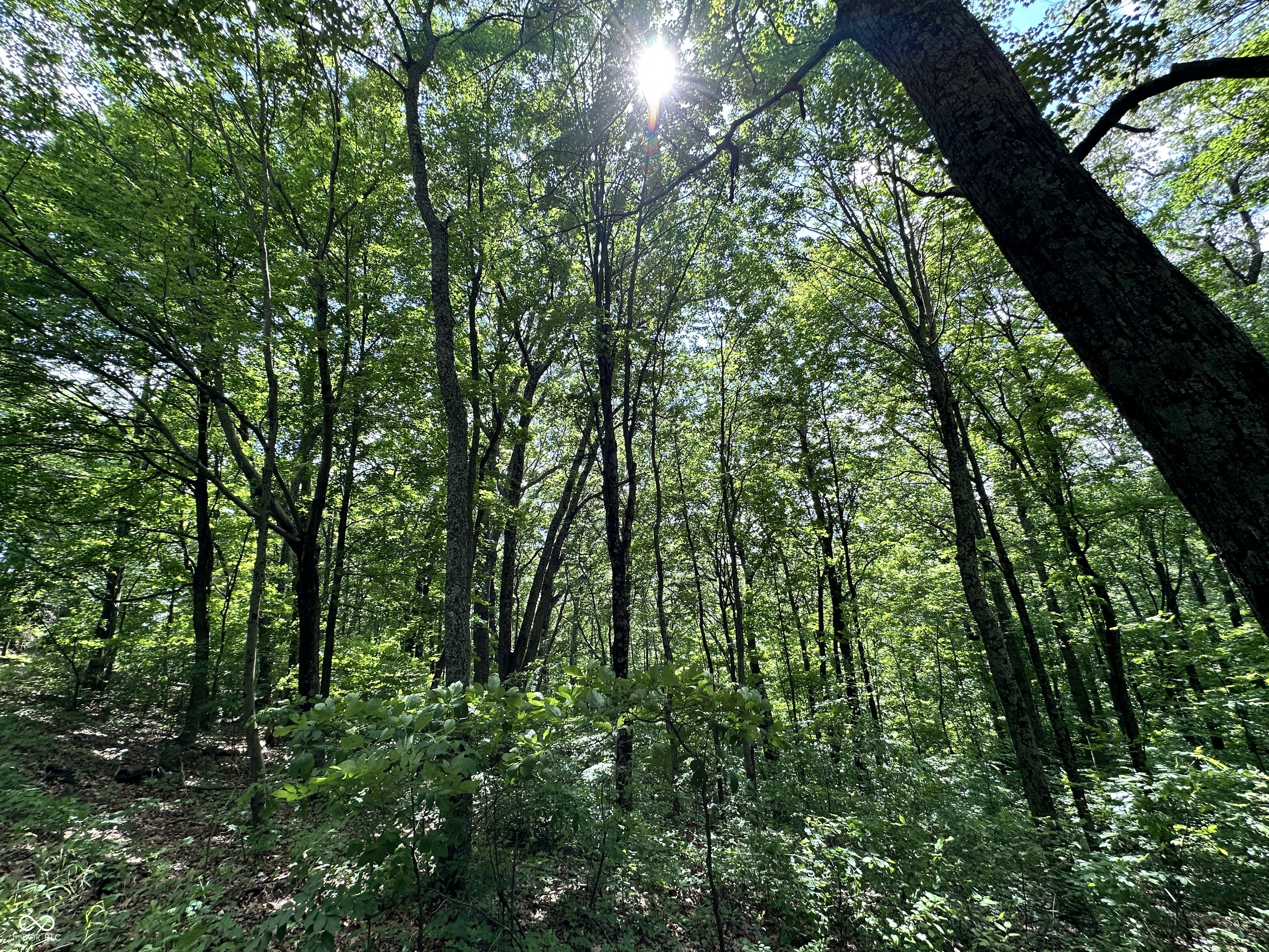 0 Dynasty Ridge Road Martinsville, IN 46151 - Photo 5 of 8