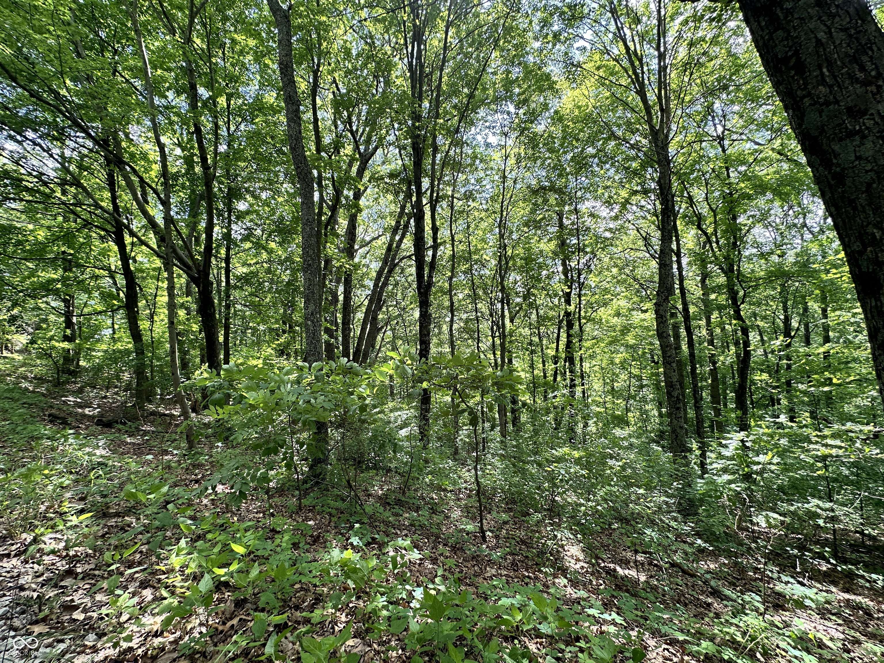 0 Dynasty Ridge Road Martinsville, IN 46151 - Photo 6 of 8