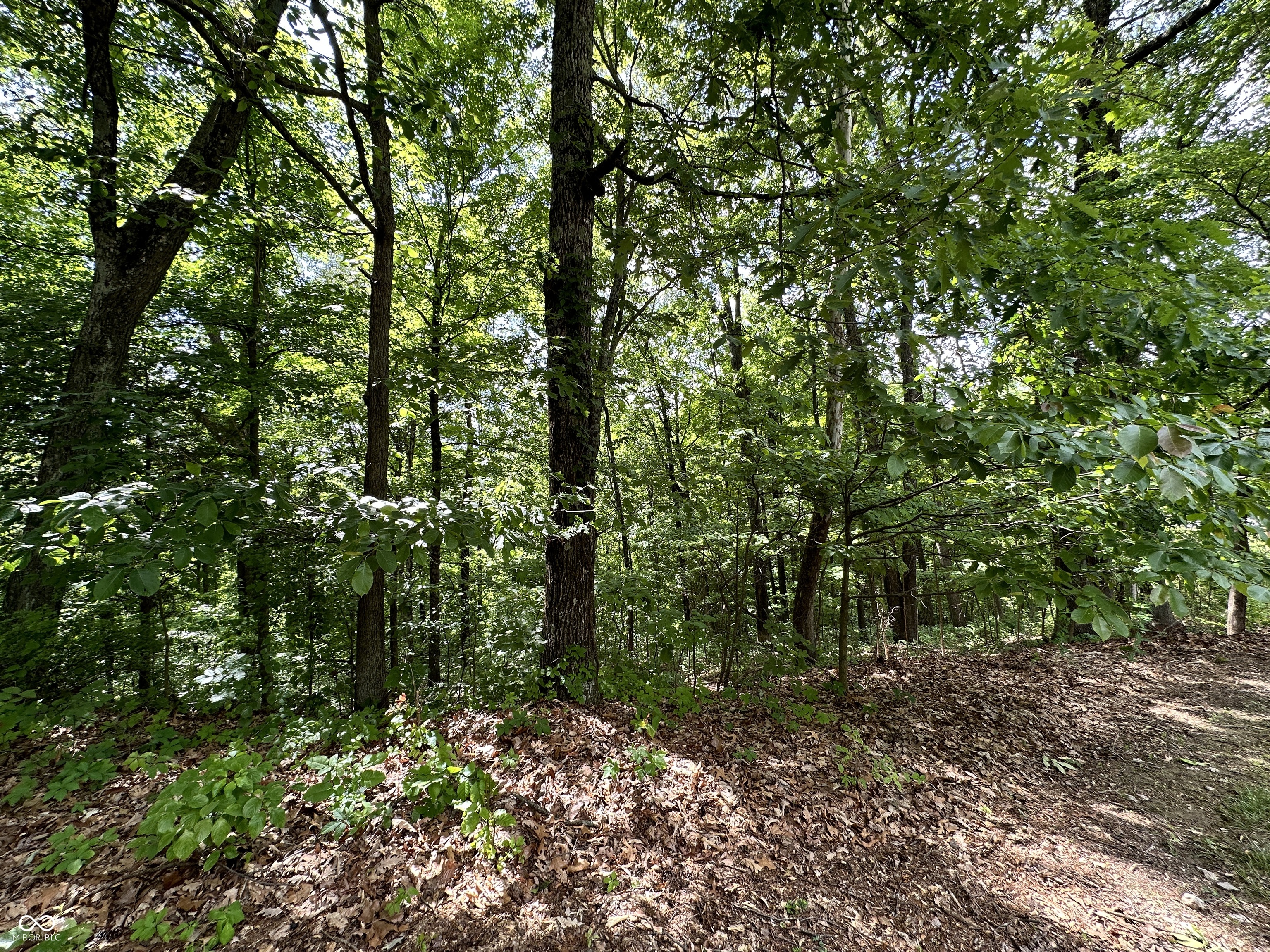 0 Dynasty Ridge Road Martinsville, IN 46151 - Photo 7 of 8