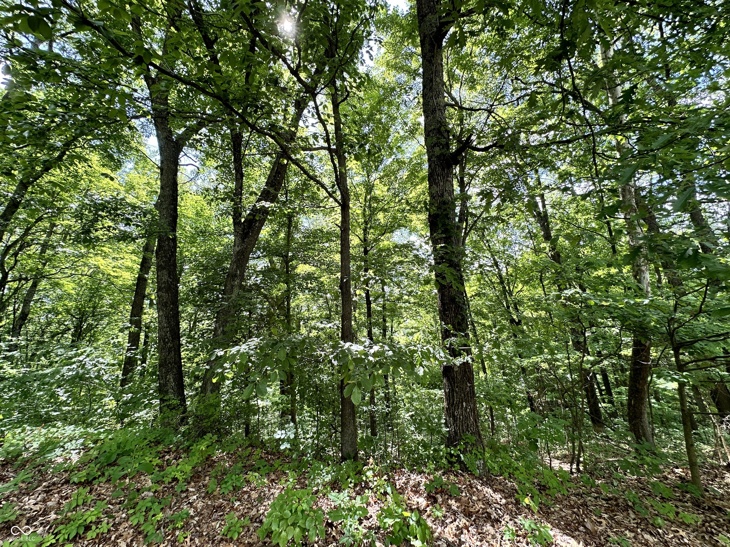 0 Dynasty Ridge Road Martinsville, IN 46151 - Photo 8 of 8