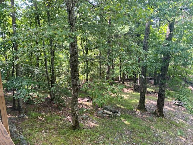 152 Chestnut Ridge Trail Fancy Gap, VA 24328 - Photo 18 of 51 Gallery Image 18