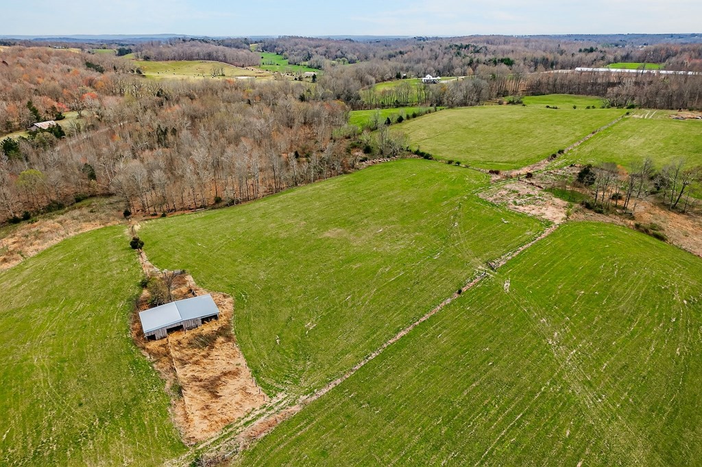 0 Marie Lane Red Boiling Springs, TN 37150 - Photo 17 of 54