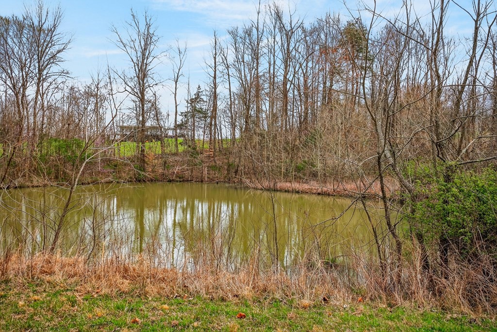 0 Marie Lane Red Boiling Springs, TN 37150 - Photo 29 of 54