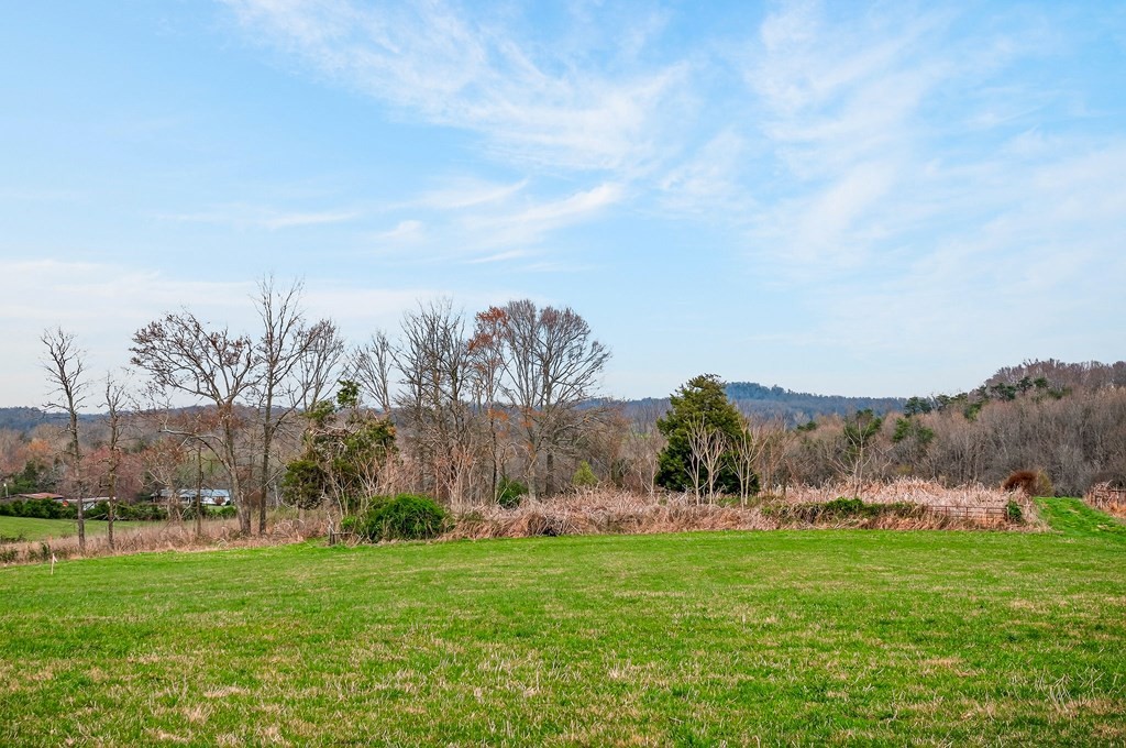 0 Marie Lane Red Boiling Springs, TN 37150 - Photo 31 of 54 a view of a garden