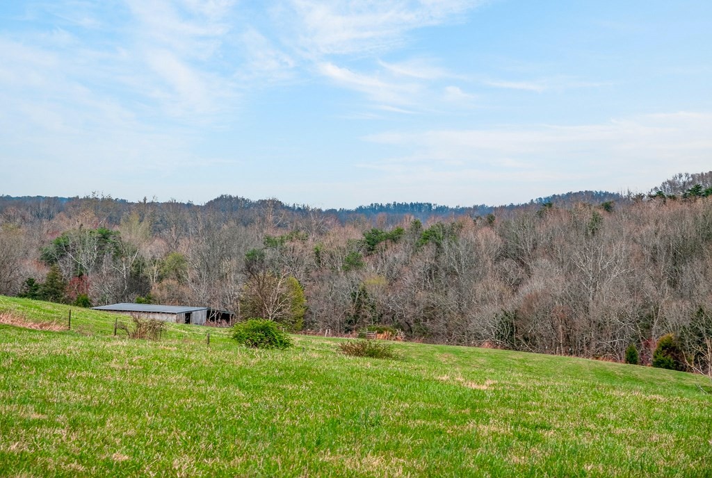 0 Marie Lane Red Boiling Springs, TN 37150 - Photo 33 of 54 a view of an outdoor space with mountain view