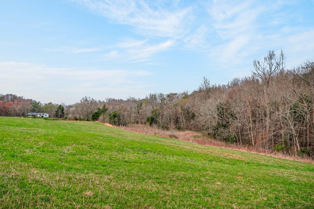0 Marie Lane Red Boiling Springs, TN 37150 - Photo 39 of 54 a view of a grassy field with trees in the background