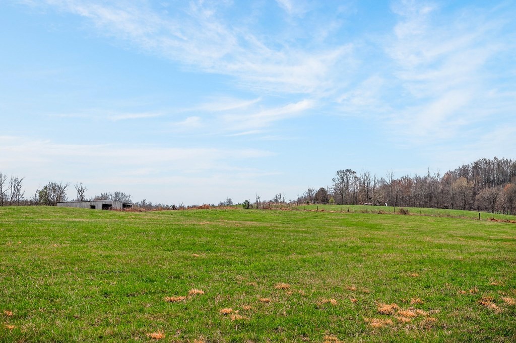 0 Marie Lane Red Boiling Springs, TN 37150 - Photo 41 of 54 a view of a grassy field with an trees