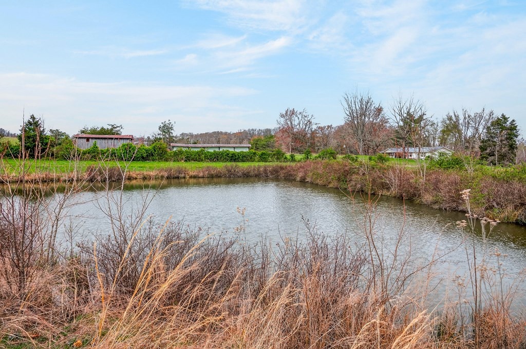 0 Marie Lane Red Boiling Springs, TN 37150 - Photo 42 of 54 a view of lake