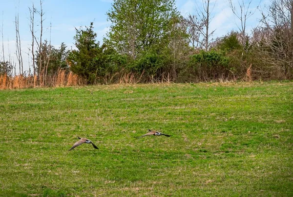 $479,900 | 0 Marie Lane, Red Boiling Springs, TN 37150