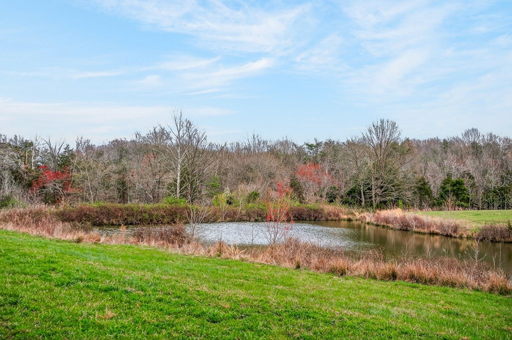 0 Marie Lane Red Boiling Springs, TN 37150 - Photo 48 of 54 a view of a lake with a yard and mountain view