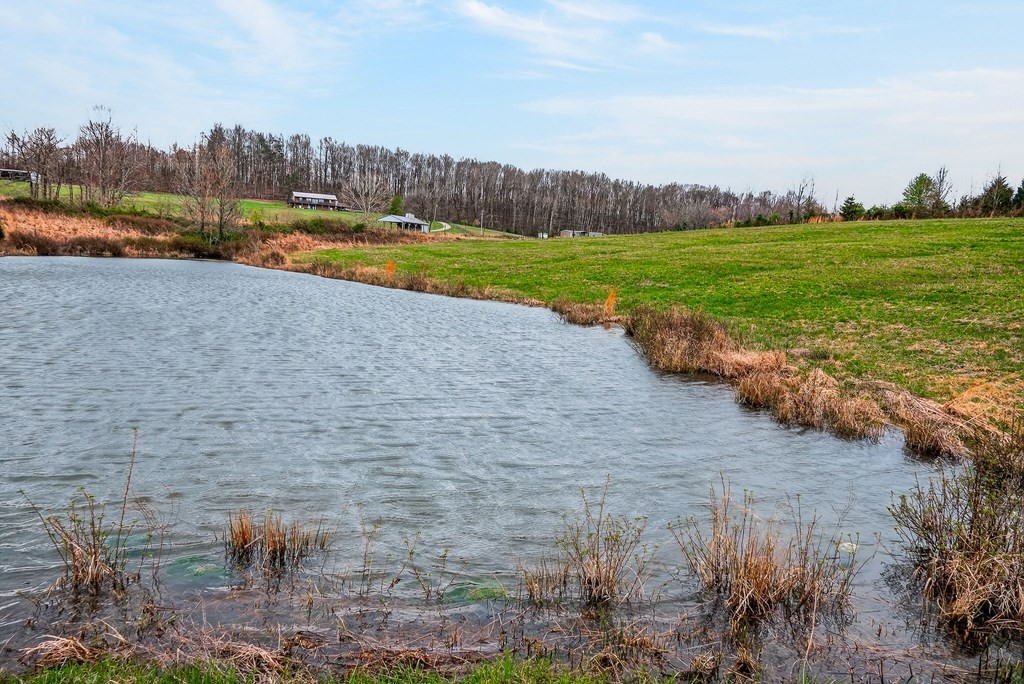 0 Marie Lane Red Boiling Springs, TN 37150 - Photo 51 of 54 a view of a lake and a yard