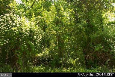 Clinton Drive Accokeek, MD 20607 - Photo 1 of 1 Gallery Image 1