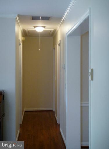 7 3rd Street Ridgely, MD 21660 - Photo 1 of 30 Interior (General)