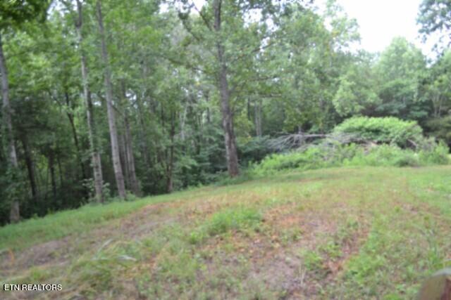 2390 Pea Ridge Fire Tower Road Celina, TN 38551 - Photo 17 of 35 DSC_0017
