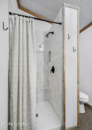 a bathroom with a shower curtain and a toilet