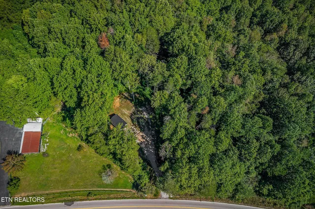 a view of a bird bath