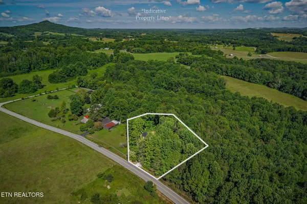 a view of a garden from a balcony