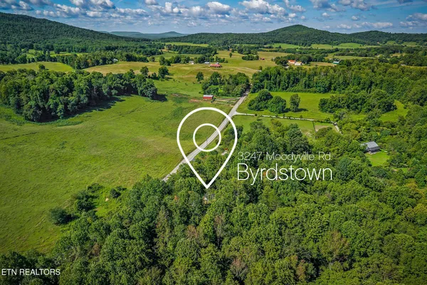 a view of a lush green park