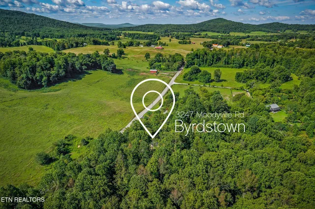 a view of a lush green park