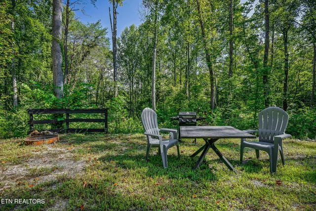 a view of a park with a bench and trees