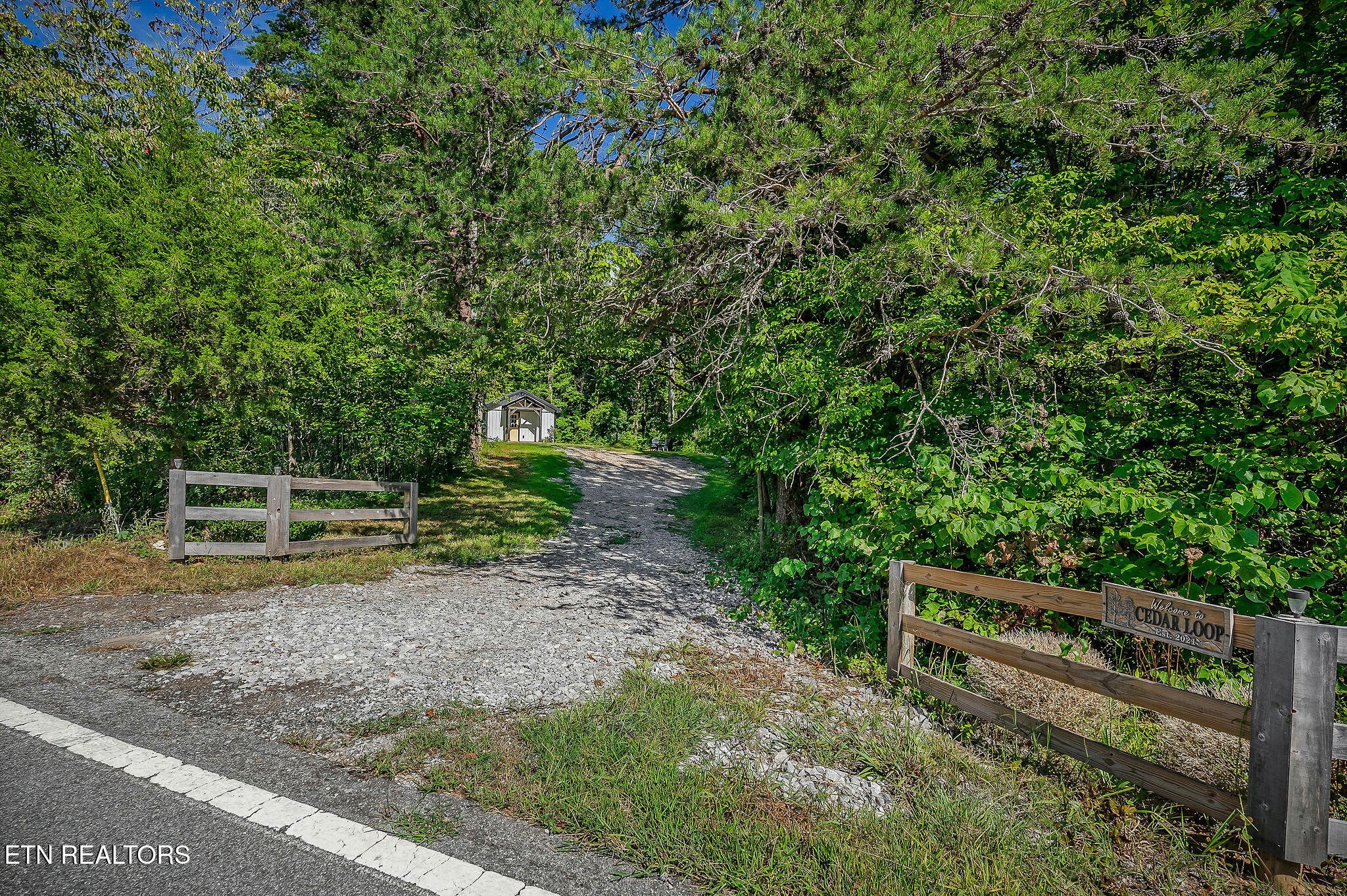 3247 Moodyville Road Byrdstown, TN 38549 - Photo 26 of 27 a backyard of a house with trees