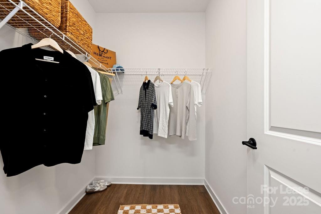 4101 Raleigh Street, Unit S2 Charlotte, NC 28206 - Photo 43 of 48 a view of walk in closet