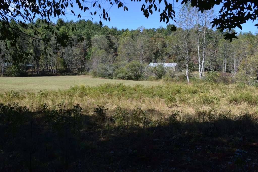 32.98-ac Zion Hill Road Ellijay, GA 30540 - Photo 3 of 12 a view of a yard