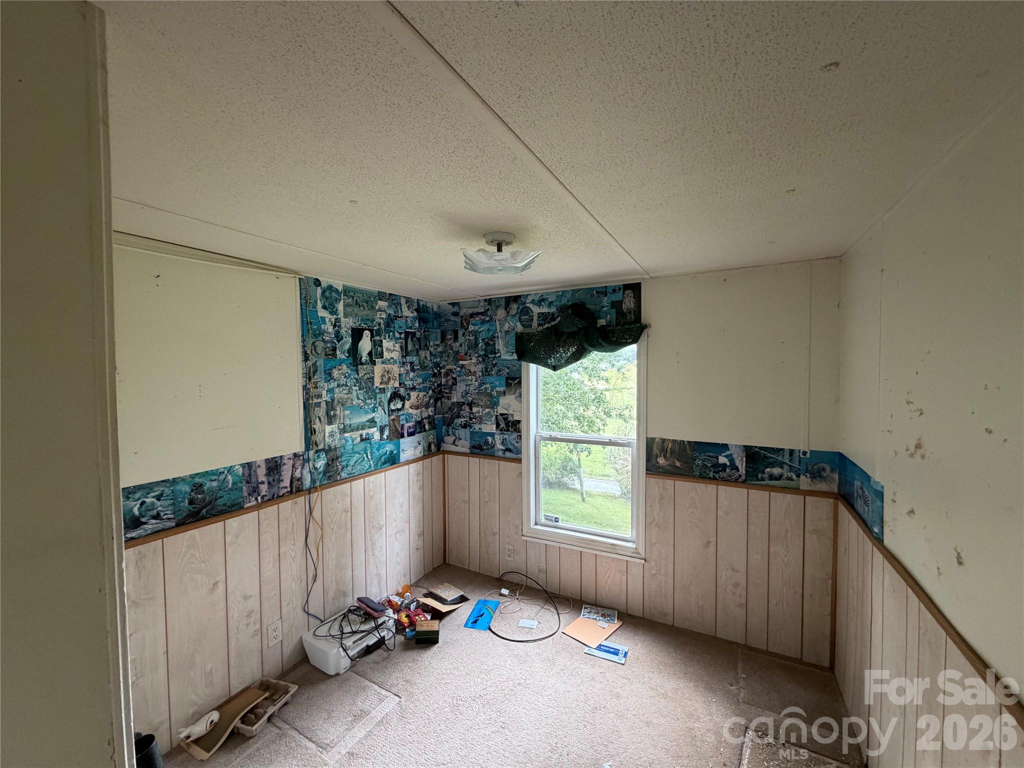 418 Green Valley Road Leicester, NC 28748 - Photo 23 of 31 Gallery Image 23