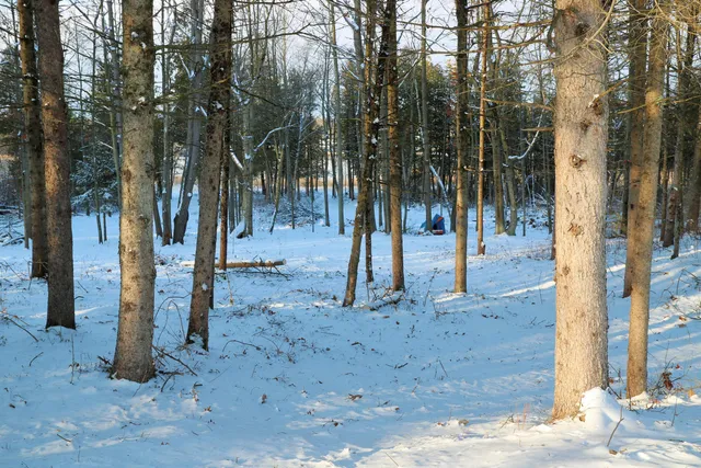 $119,500 | 17163 Spruce Cove Trail, Unit 13, Gowen, MI 49326