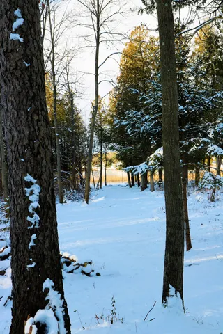 $119,500 | 17163 Spruce Cove Trail, Unit 13, Gowen, MI 49326