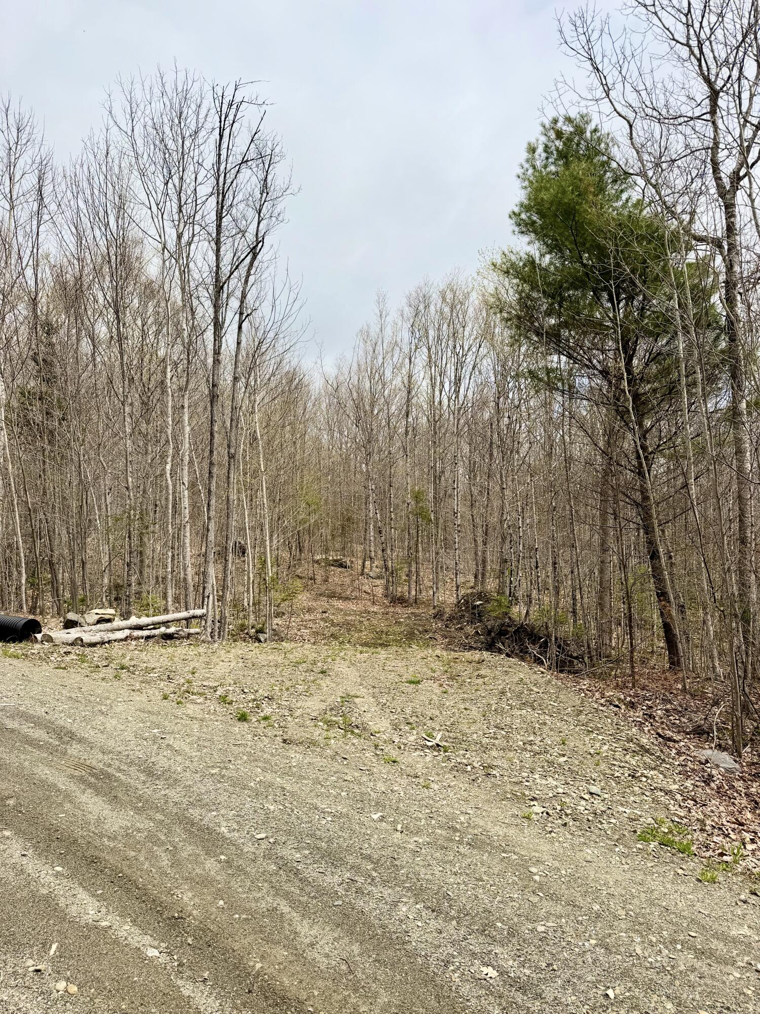 Lot 2 Mooseley Ridge Road Phillips, ME 04966 - Photo 2 of 24