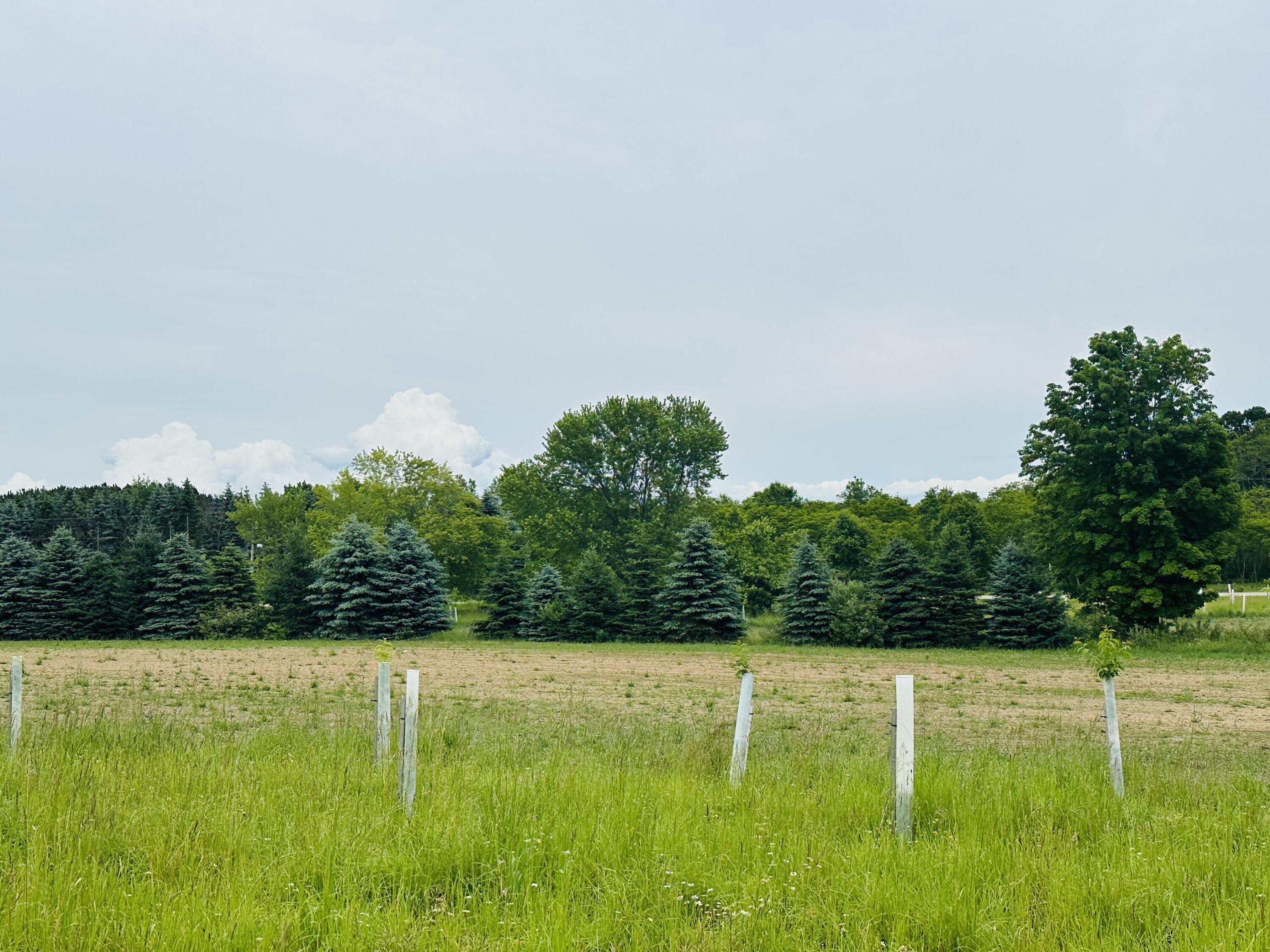 5372 Milarch Road Manistee, MI 49660 - Photo 33 of 41 IMG_8792