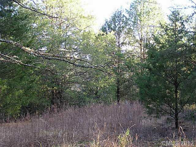 10-ac 10-ac Baton Rouge Road Chester, SC 29706 - Photo 4 of 16